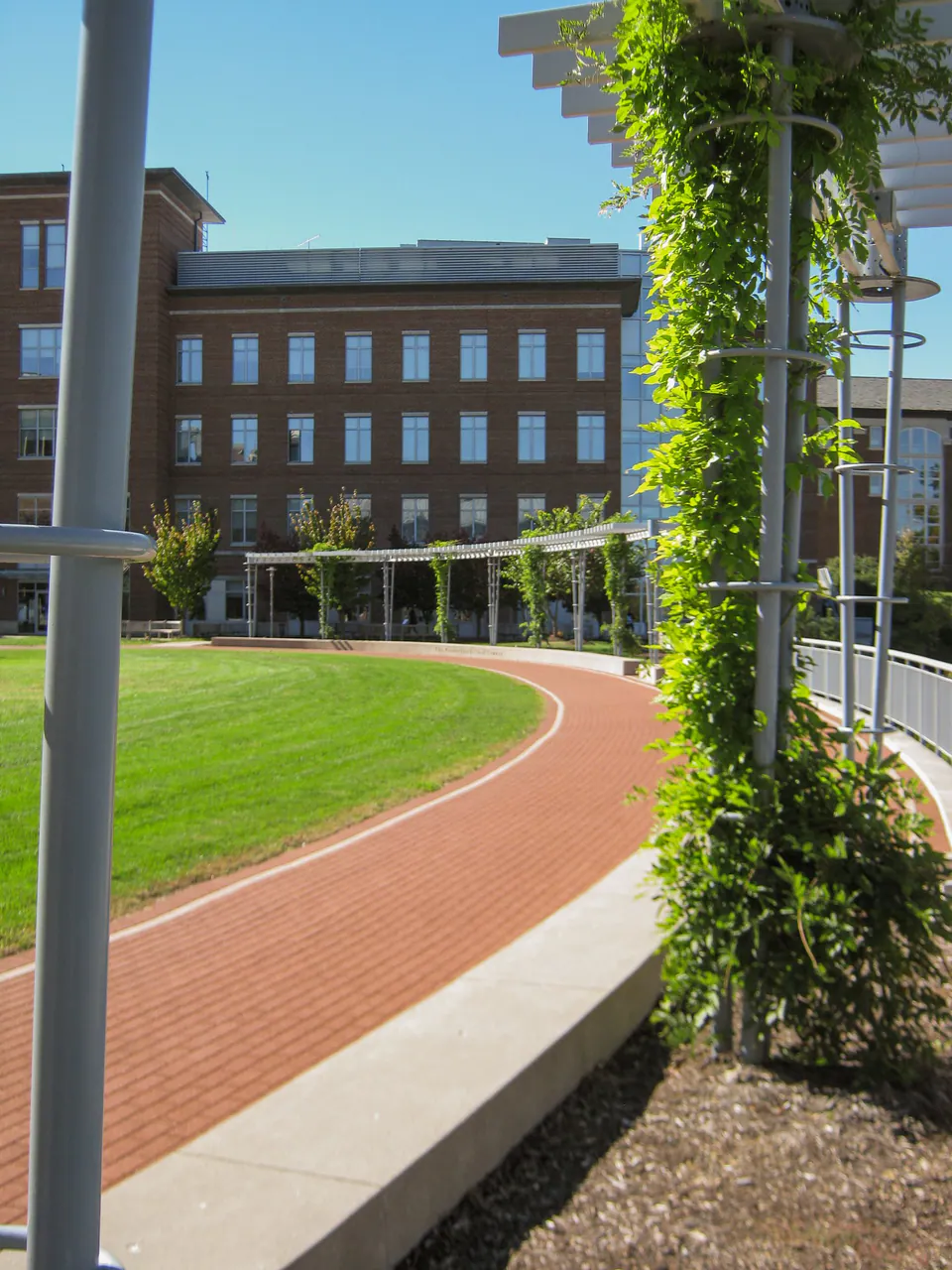 Campus walk with trellis columns, brick paving, lawn curve, vines, and building beyond